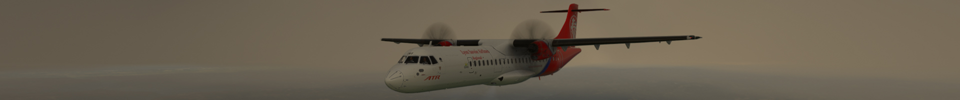 Banner / Image